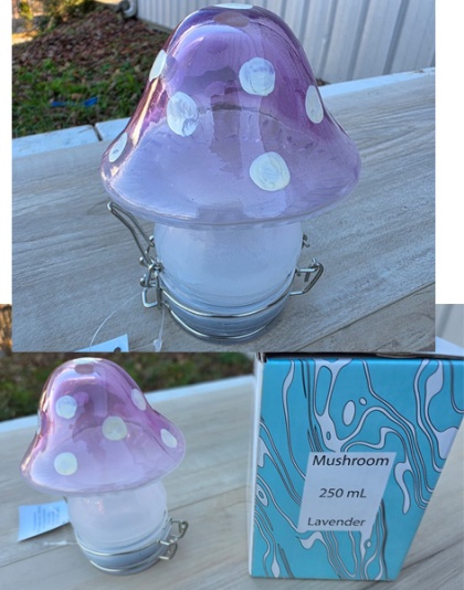 J821 - Mushroom Glass Jar Air Tight Container Purple