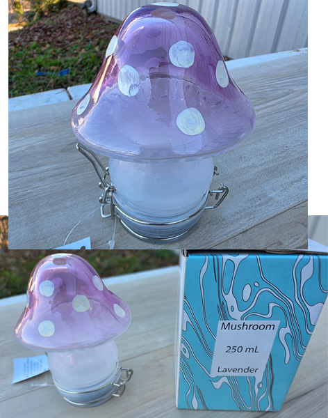 J821 - Mushroom Glass Jar Air Tight Container Purple